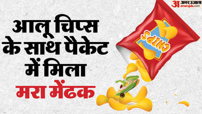 पैकेट में निकला मेंढक