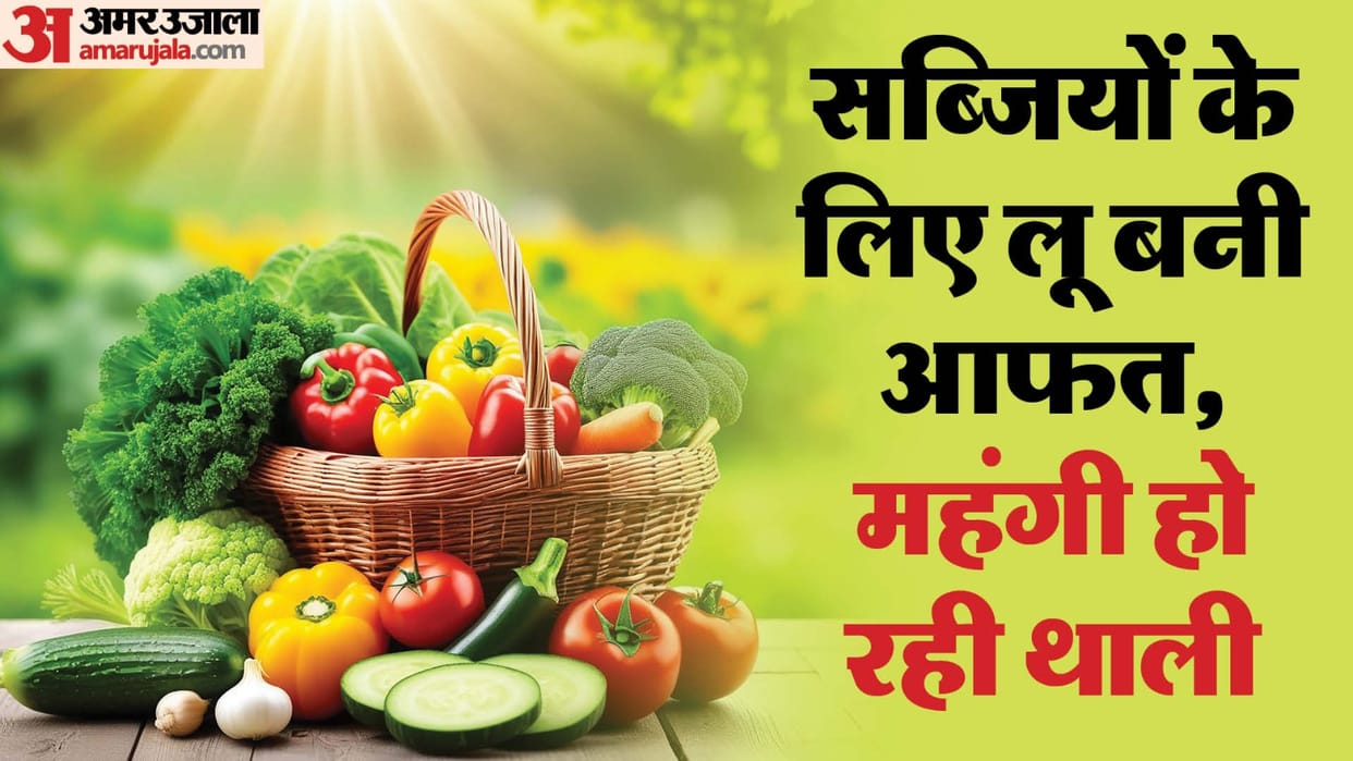 Vegetable Price Hike: Plants green vegetables are burning due to heatwave kitchen budget is getting spoiled