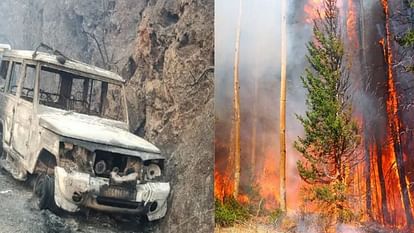Case against unknown in Almora Binsar Sanctuary forest fire case
