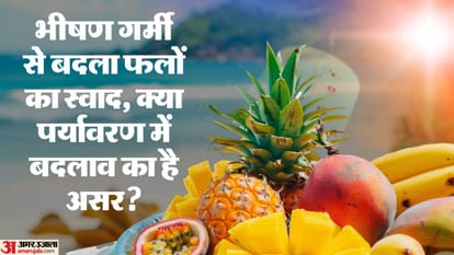 जलवायु परिवर्तन का फलों पर असर।