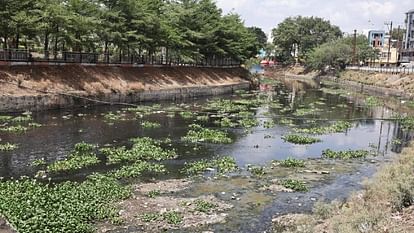 narmada water supply weather monsoon rain updates