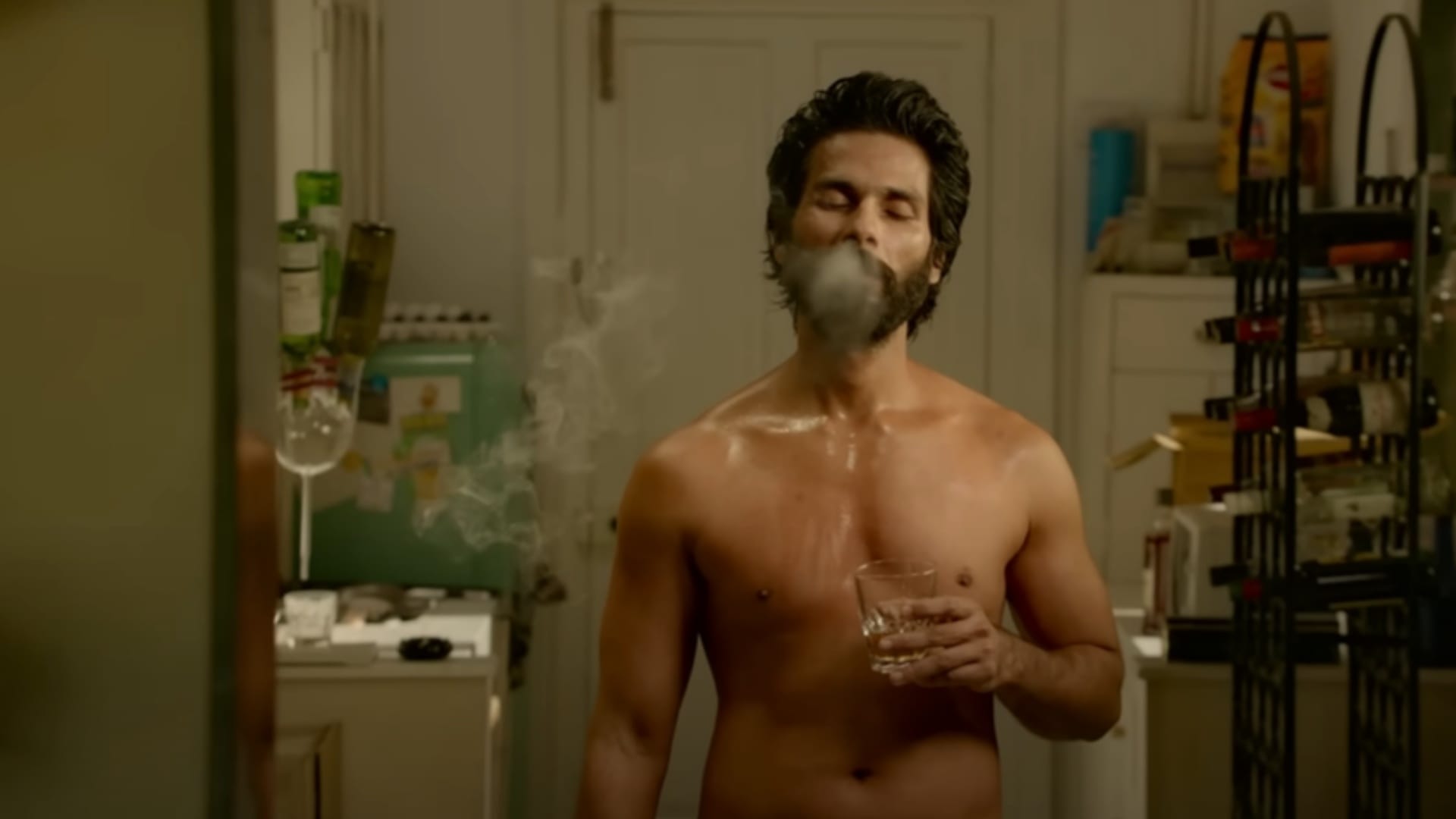 Deva Actor Shahid Kapoor Movies Box Collection Report Last 10 Years Kabir Singh Udta Punjab Padmaavat