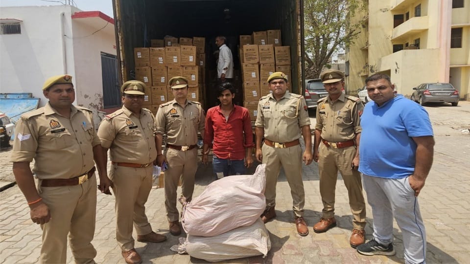 Police surprised to see this method of smuggling ganja among boxes of cashew nuts in the container