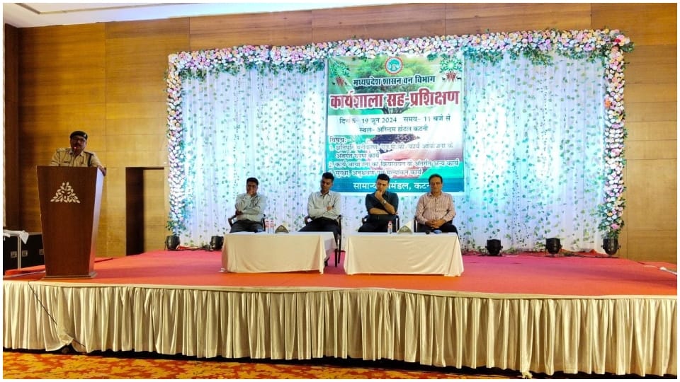 MP News: 14 lakh saplings will be planted in two thousand hectares this plan made to maintain the eco system