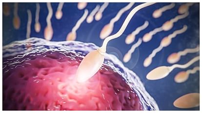 mobile phones decreasing male sperm count and causes male infertility