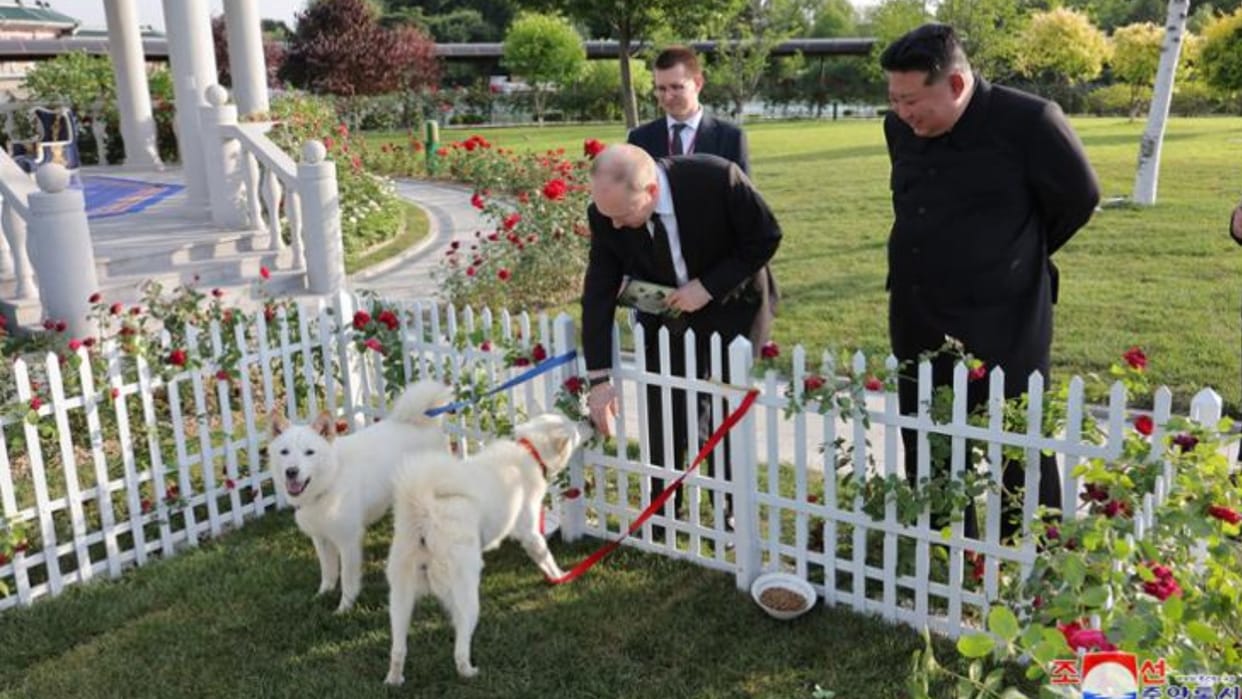 North Korea: Kim Jong Un gifts Putin dogs as leaders bond over animals, ride horses