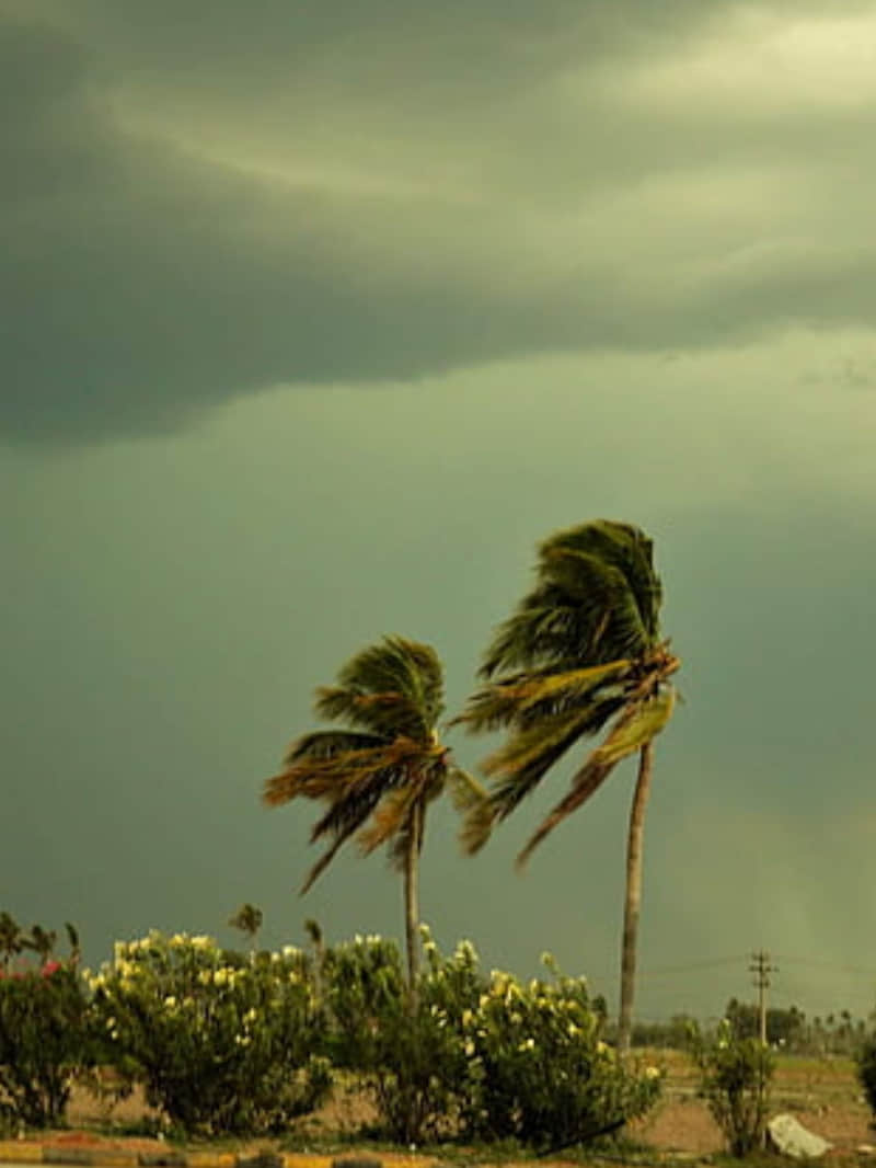 Yellow alert for thunderstorm and rain in Rajasthan