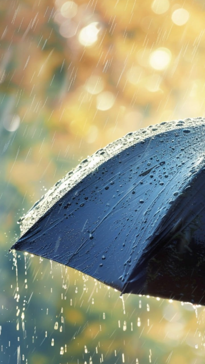 Monsoon will knock in Uttarakhand after three days Weather Update