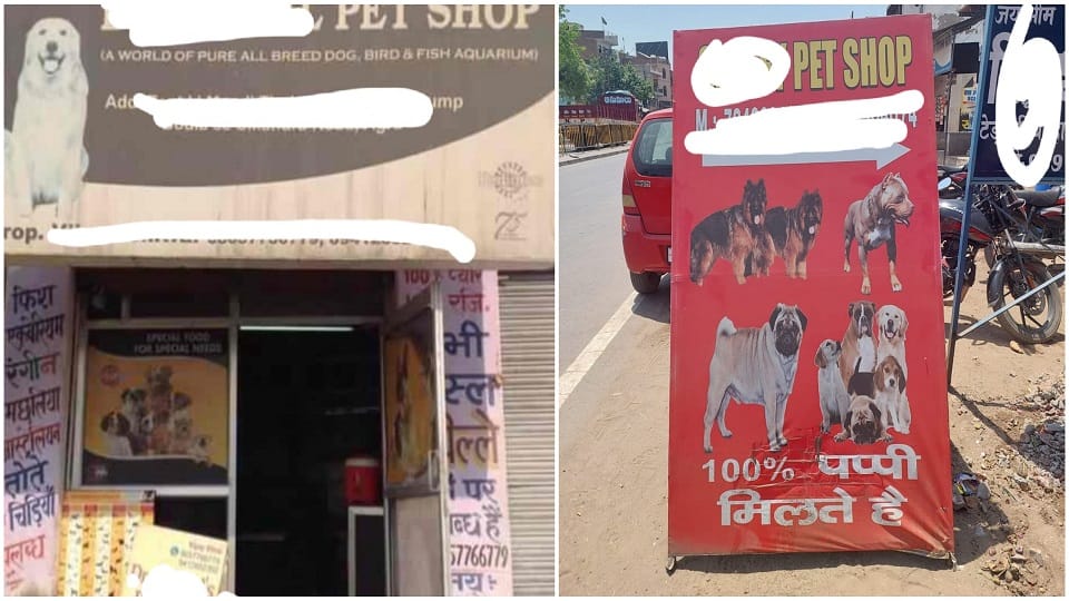 Propagation of illegal breeding through social media Municipal Corporation helpless