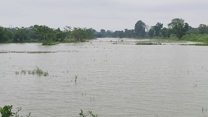 Bihar News: Kosi water level started rising due to continuous rain; Kosi Barrage; bihar news updates