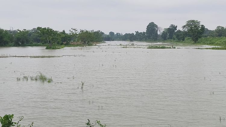Bihar News: लगातार बारिश से बढ़ने लगा कोसी का जलस्तर; कोसी बैराज ; Bihar News Updates – Harvkat News Live