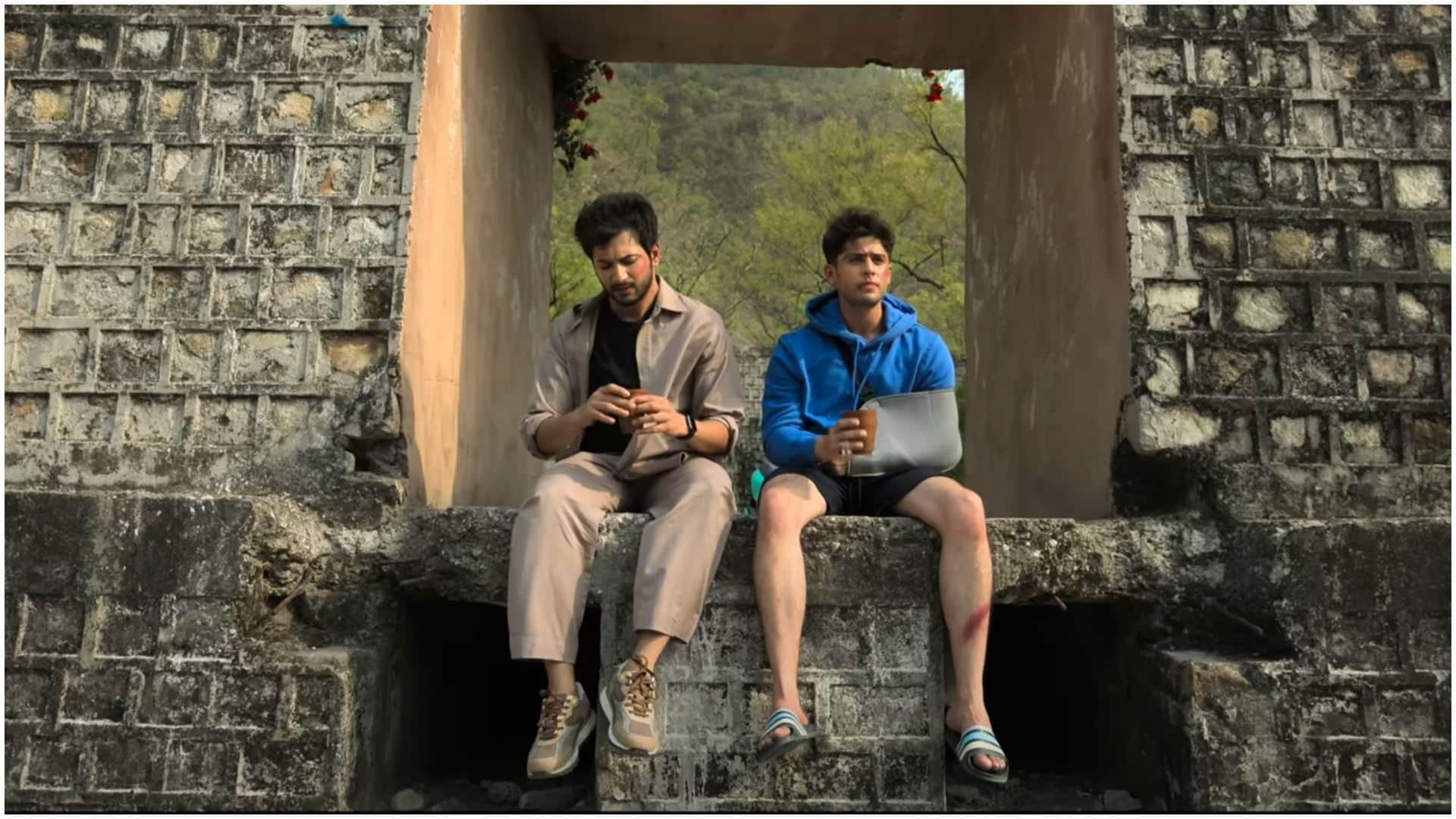 Box Office Collection Wednesday report Updates Ishq Vishk Rebound Chandu champion Munjya Earnings