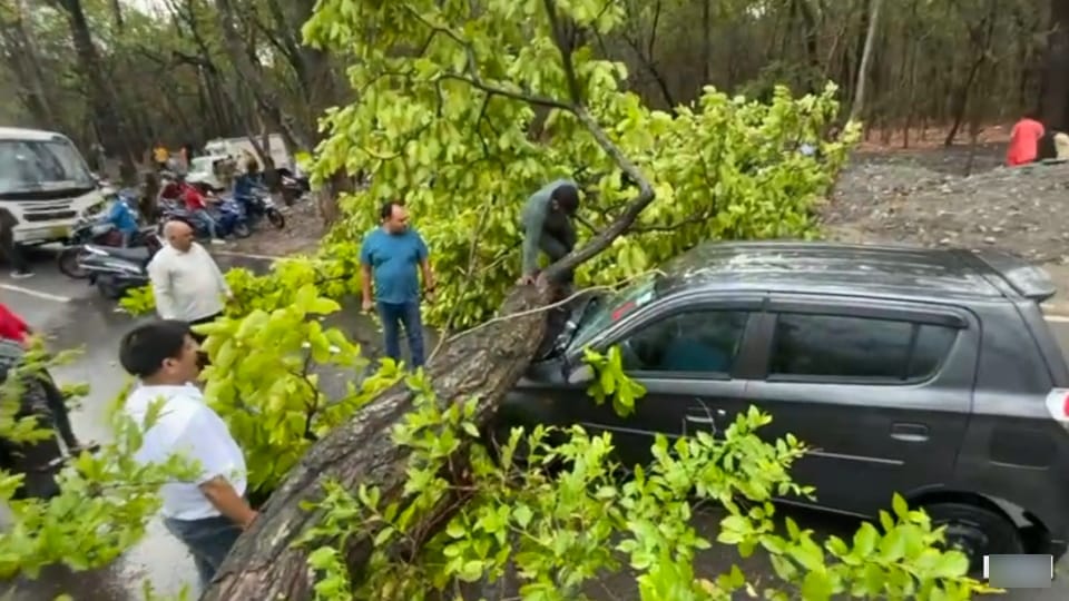Rishikesh News huge tree fell on Running car near Saat Mod people got out by breaking the window