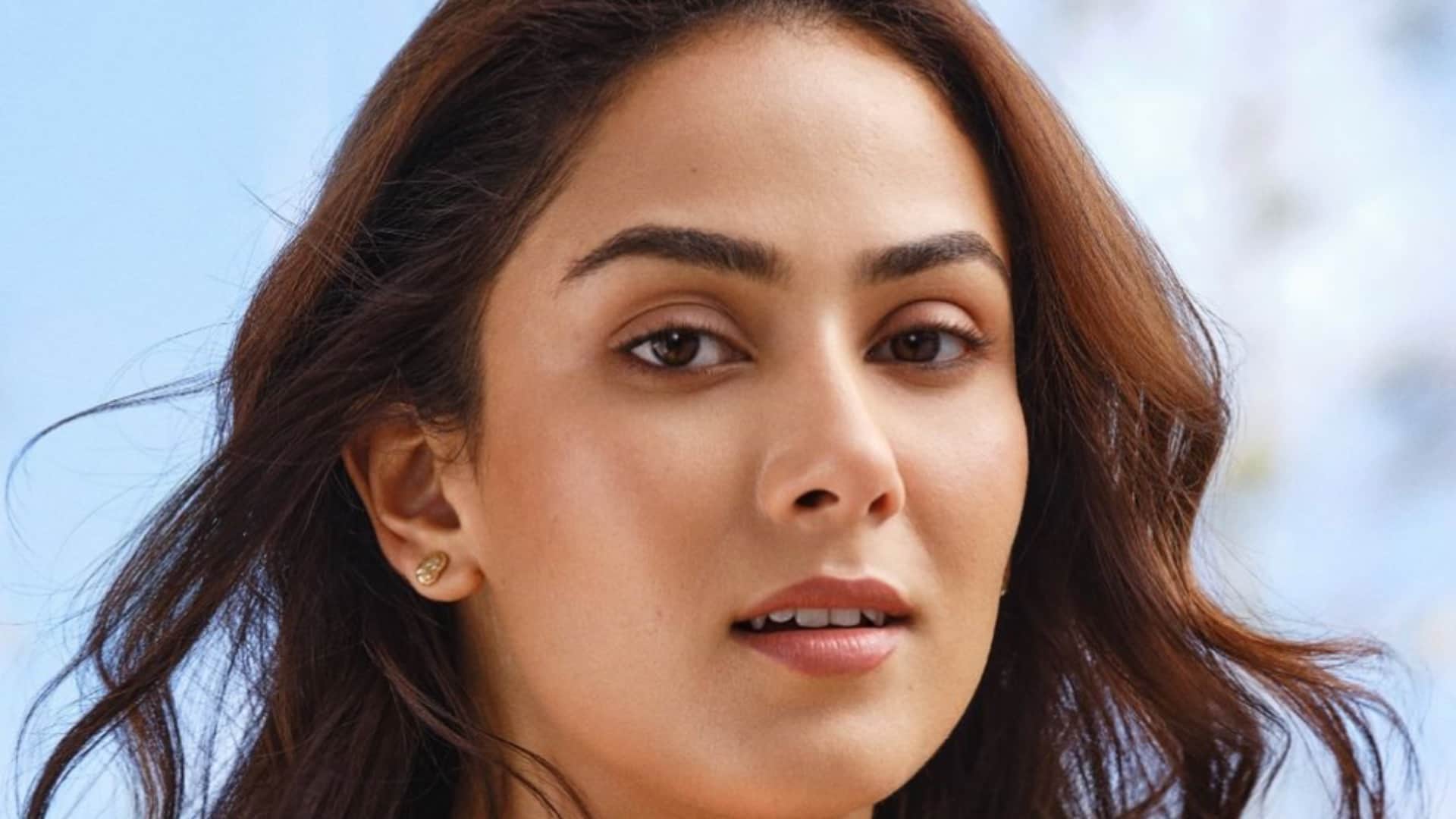 Shahid kapoor wife Mira Kapoor shared her birthday celebration unseen pictures on social media