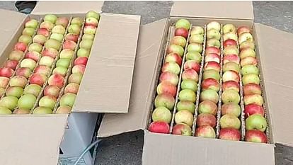 Himachal Apples hit by drought first consignment reaches market size small