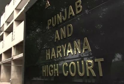 Punjab Haryana High Court green signal to recruitment of 1158 assistant professors and librarians in Punjab