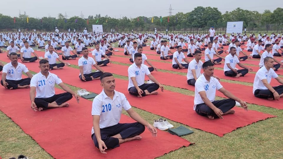 International Yoga Day celebrated in Punjab