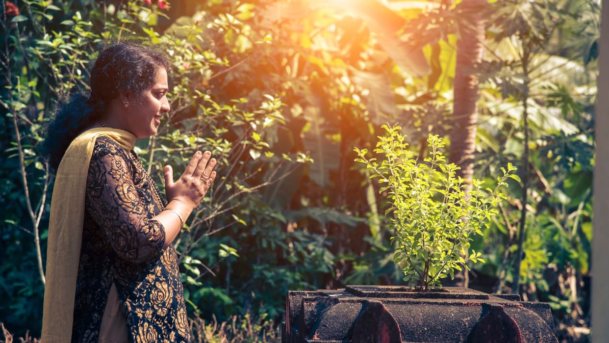 devshayani ekadashi 2024 do these auspicious maa lakshmi will give you money in hindi