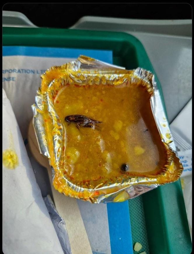 Bhopal: Cockroach found in passenger's food in Vande Bharat train, IRCTC fines food serving company