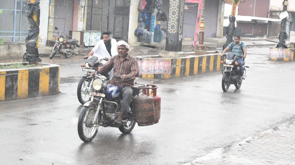 Haryana Punjab Monsoon 2024 Arrival Date IMD Yellow Alert Rain Forecast News in Hindi