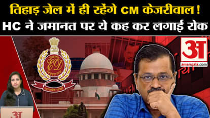 Arvind Kejriwal Bail: Delhi HC puts interim stay on the bail granted from the lower court, know why?
