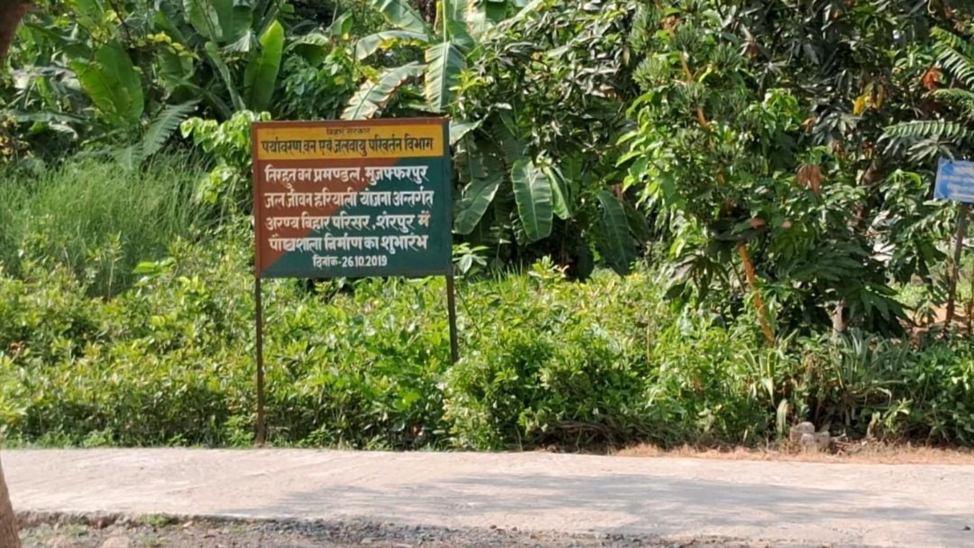 Bihar Forest Department: Miyawaki forest will provide relief from pollution and scorching heat, Climate Change