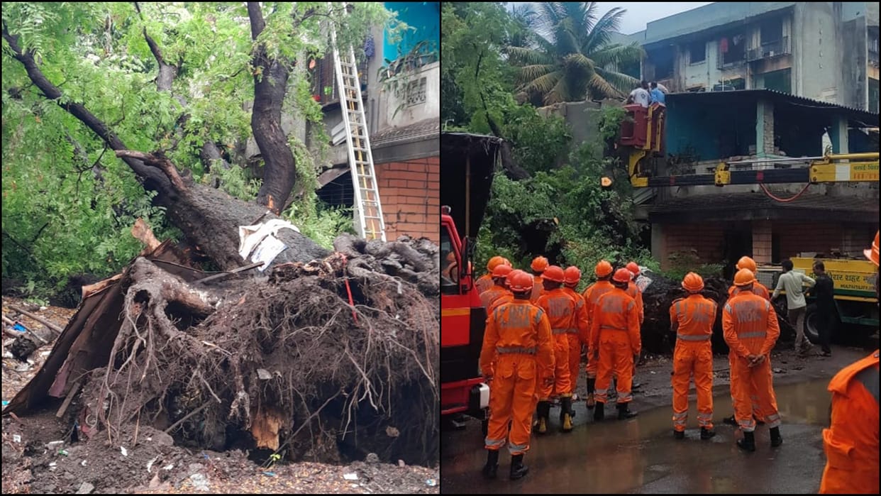 Elderly woman killed as tree falls on her trapped body found two days later news in hindi