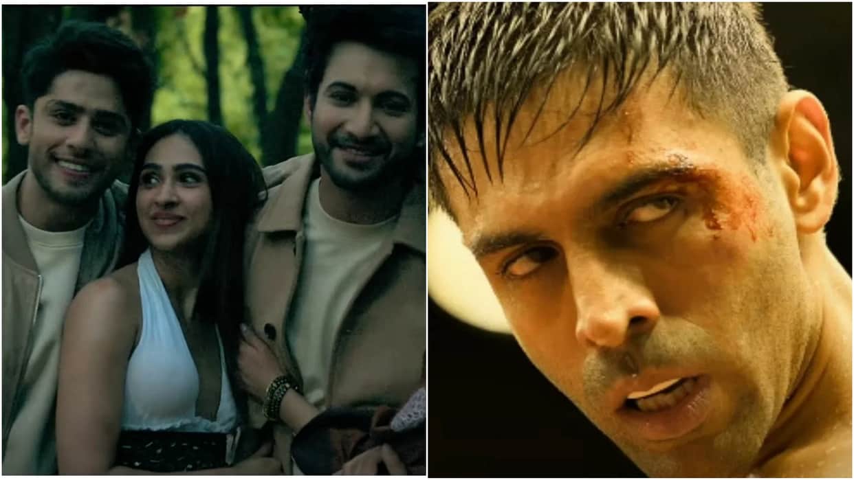 Box Office Collection Friday Ishq Vishq Rebound Chandu Champion Munjya Film Total Earnings
