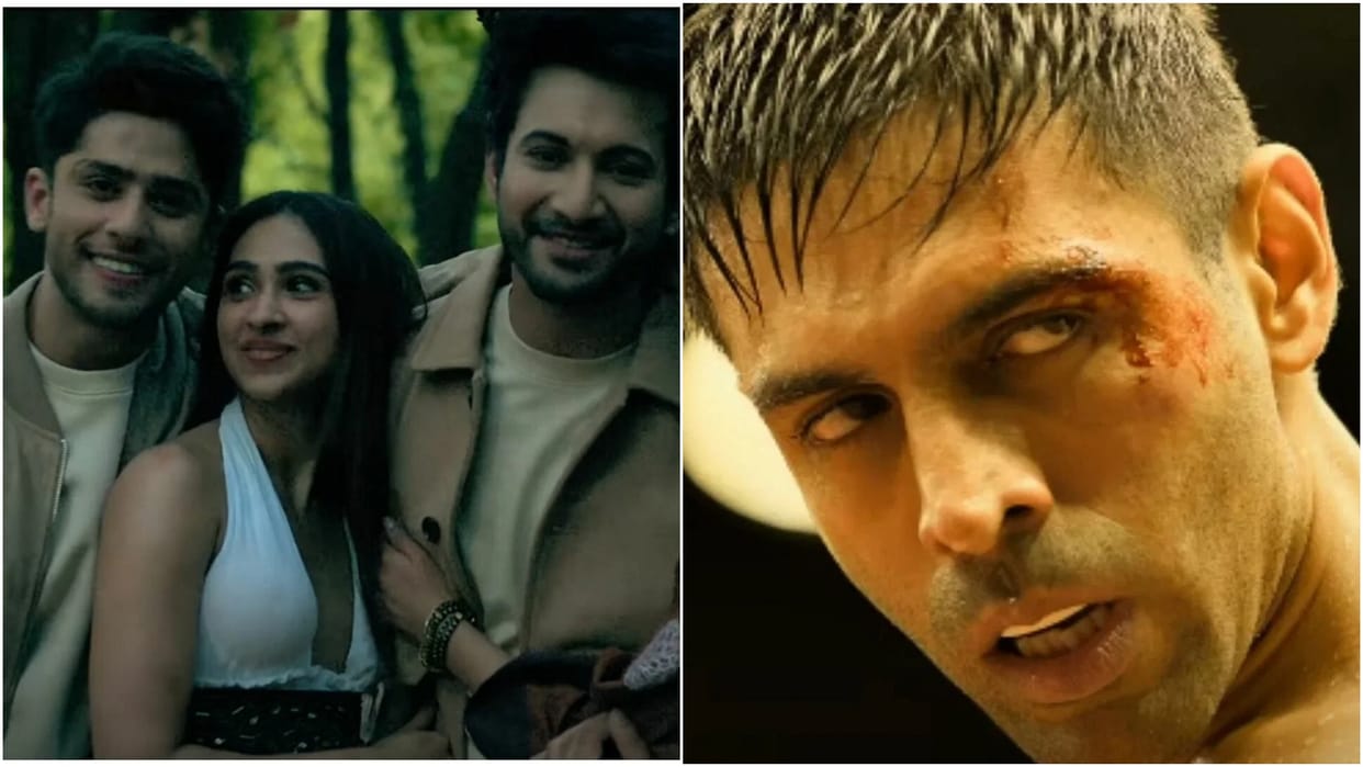 Box Office Collection Friday Ishq Vishq Rebound Chandu Champion Munjya Film Total Earnings