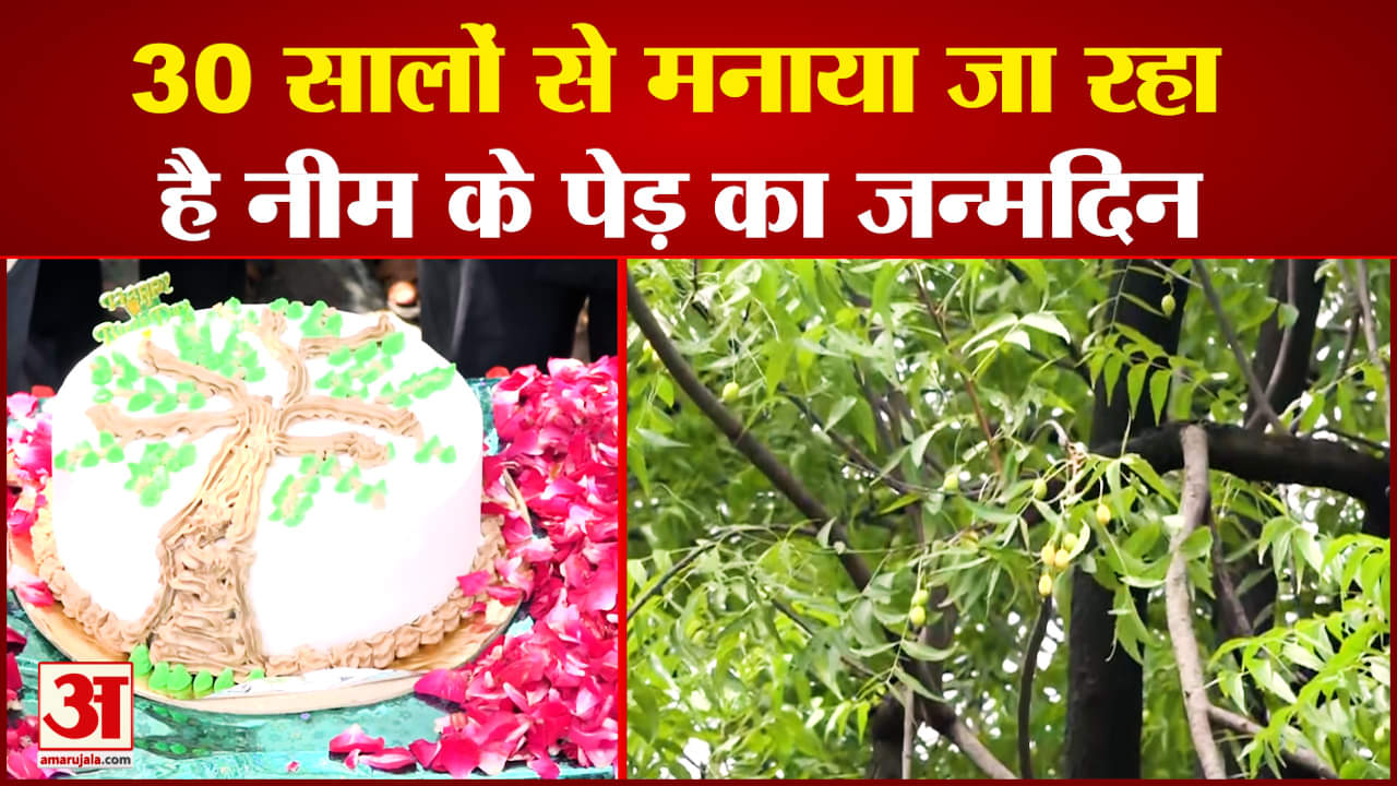 मध्य प्रदेश के इस शहर में 30 सालों से मनाया जा रहा है नीम के पेड़ का जन्मदिन
