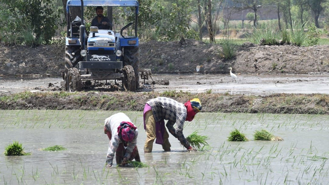 Jammu Kashmir Weather dry till June 28 weather may change on 29th