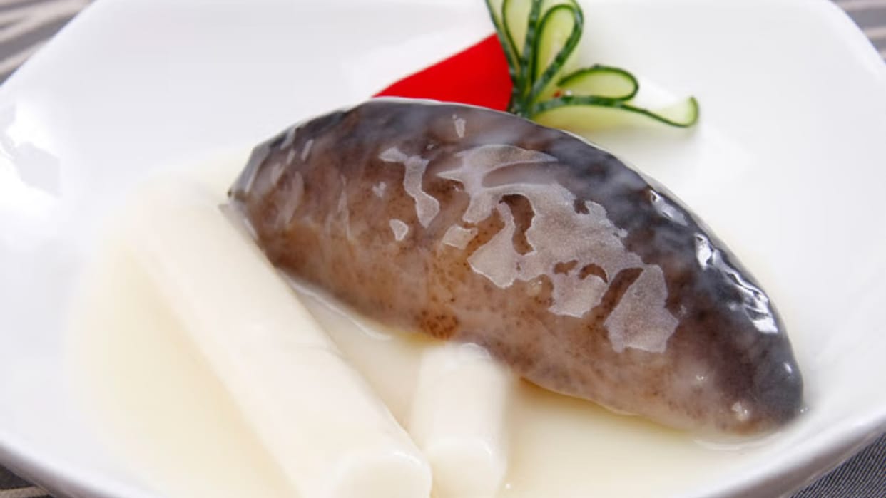 Ajab-Gajab: sea cucumber is the most expensive fruit of India knwo the reason behind it