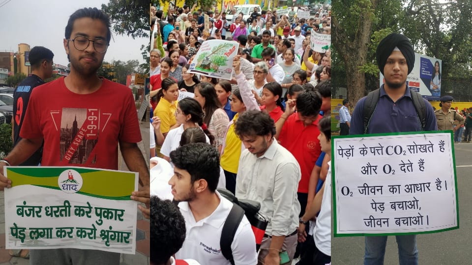 Dehradun save trees movement process of cutting down green trees continued