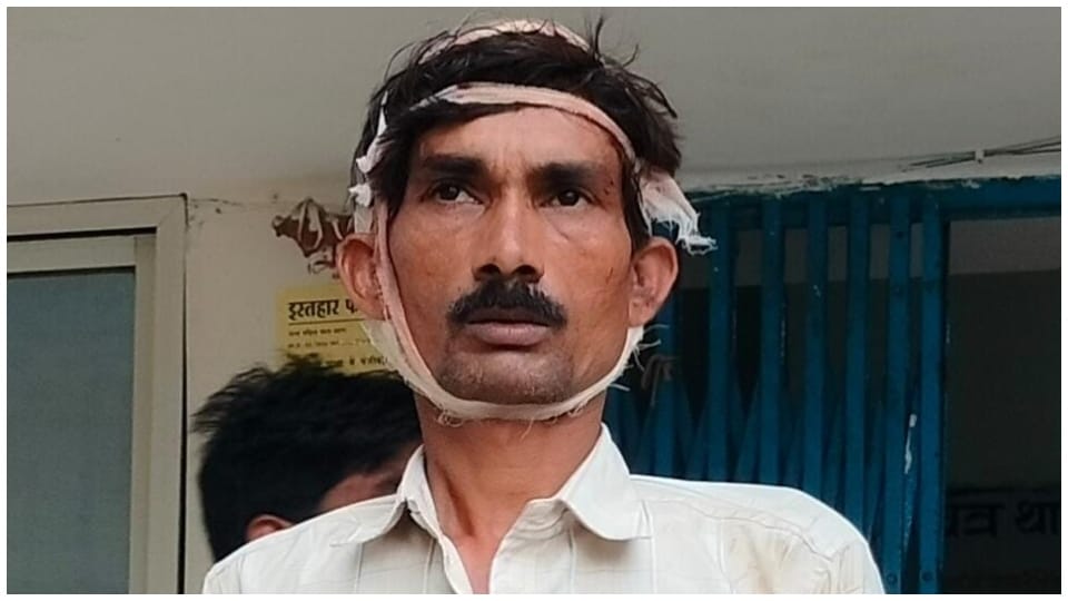 Sagar News: Son who murdered elderly mother arrested, beat her to death with stick