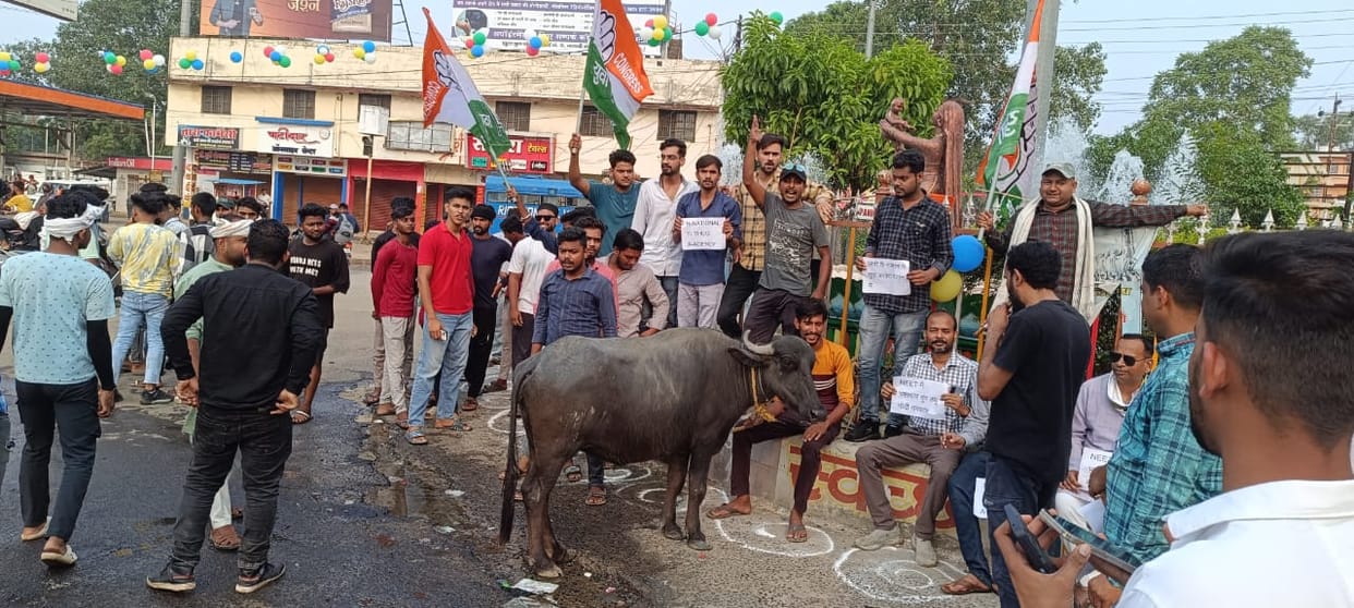 NEET UG 2024 Shahdol MP News Youth Congress protested and burnt the effigy of the Central Government
