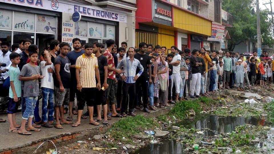 Amroha: High tension line current fell into the pond, nine buffaloes died
