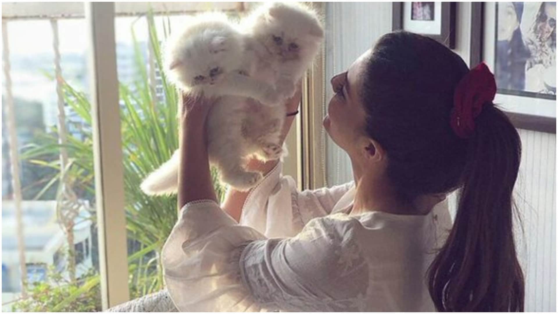 Celebrities Who Are Cat Lovers Alia Bhatt Jacqueline Fernandez Kalki Koechlin Zareen Khan Richa Chadha