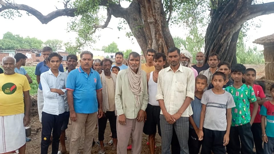 Two buffaloes died due to lightning amid rain