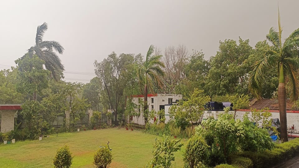 Heavy rain drops brought relief in Aligarh
