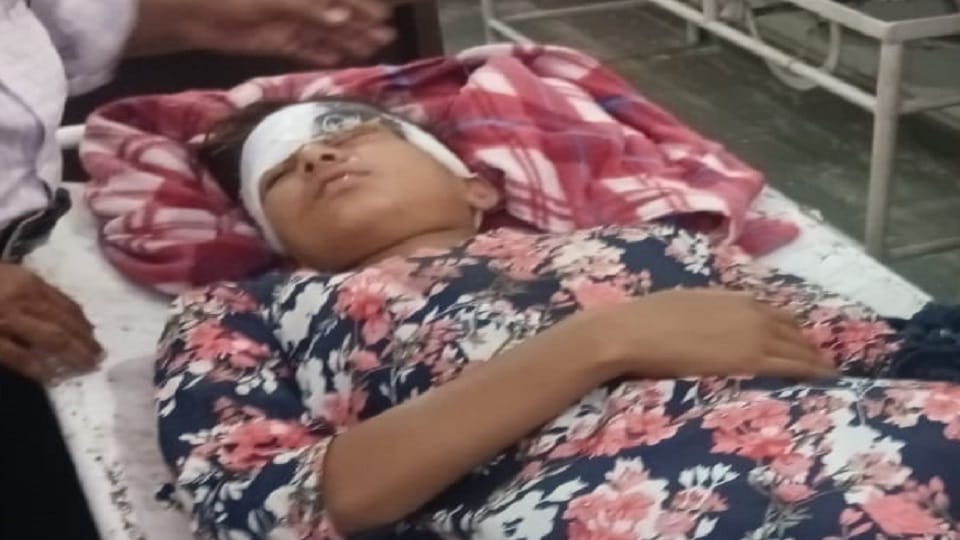 Teenager injured in leopard attack in bazpur udham singh nagar