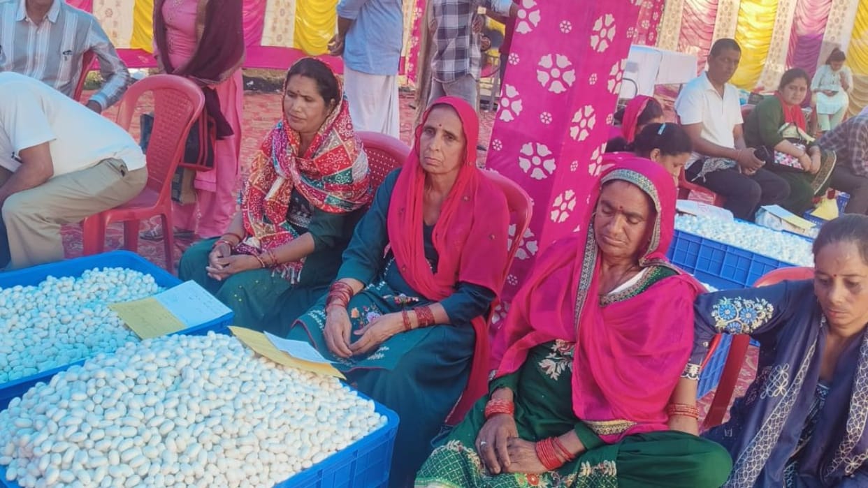 Cocoon Sale Traders from West Bengal arrived to buy cocoons In HP