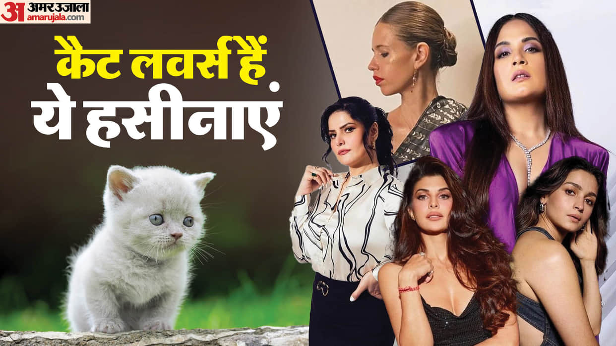 Celebrities Who Are Cat Lovers Alia Bhatt Jacqueline Fernandez Kalki Koechlin Zareen Khan Richa Chadha