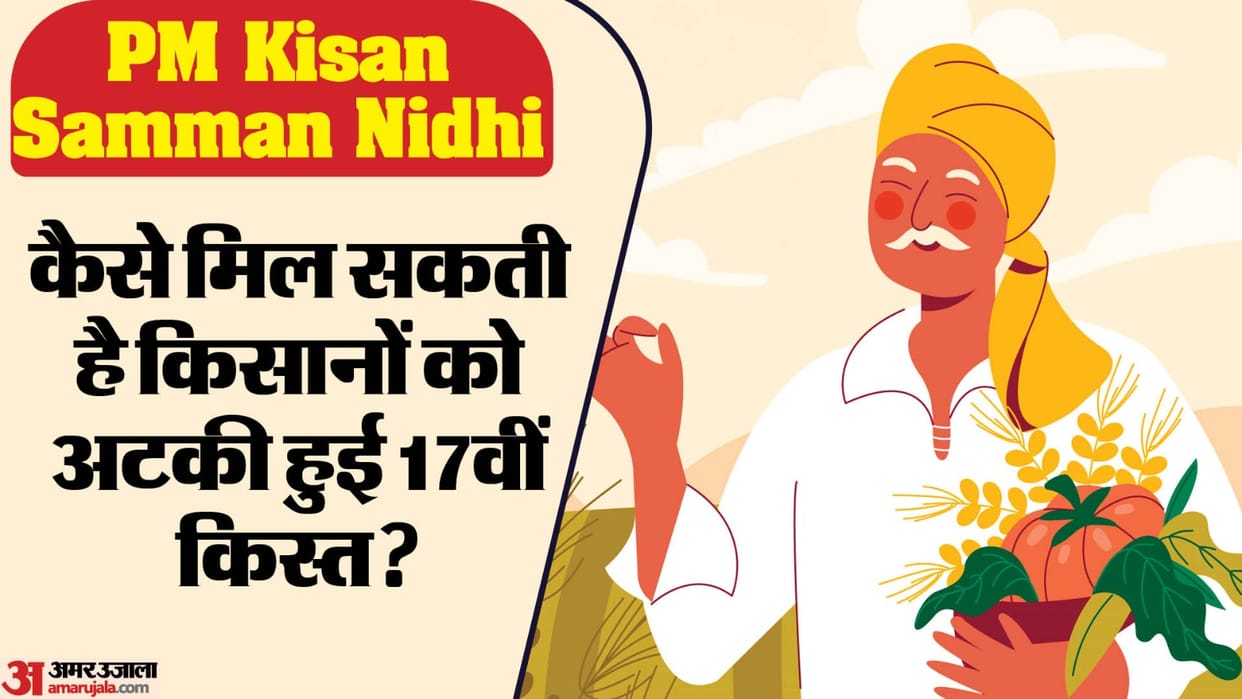 PM Kisan Samman Nidhi: What work can farmers do to get the benefit of stuck 17th kist