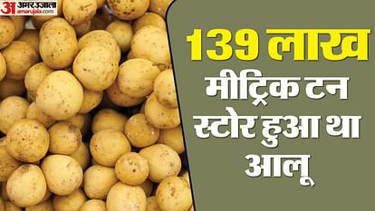 UP: गर्मी की मार... कम पैदावार ने तीन गुना तक बढ़ाए आलू के दाम, दूसरे राज्यों से आवक कम और मांग ज्यादा Low production due to heat has increased the price of potatoes by three times