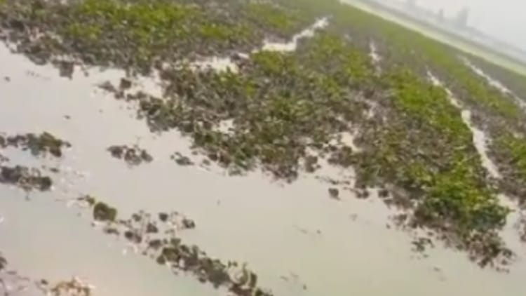 Crack Appeared In Bhakra Canal At Natha Village In Talwandi Sabo Of Bathinda – Amar Ujala Hindi News Live