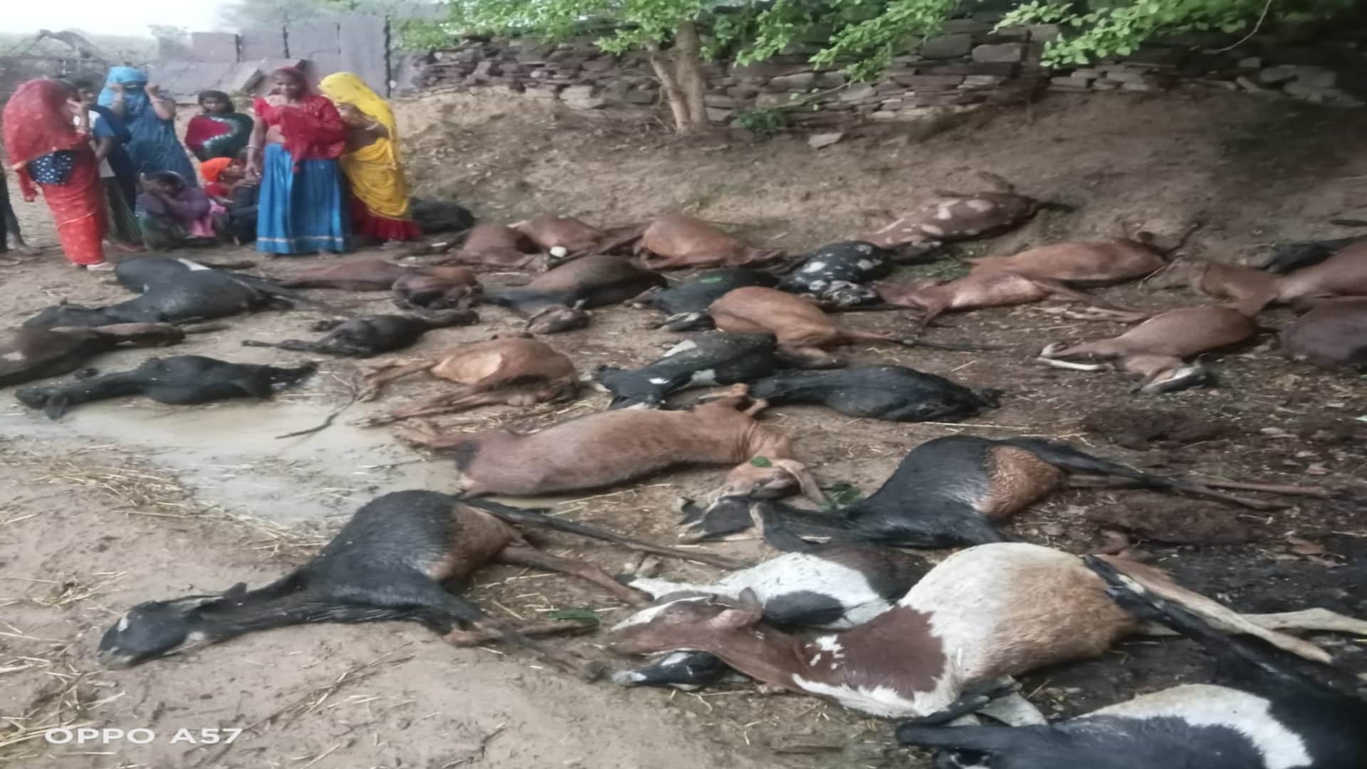 राजस्थान