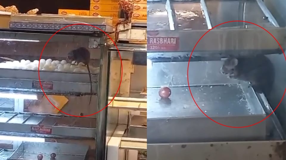 Roorkee News Rats seen eating sweets kept inside counter in a famous sweet shop video viral