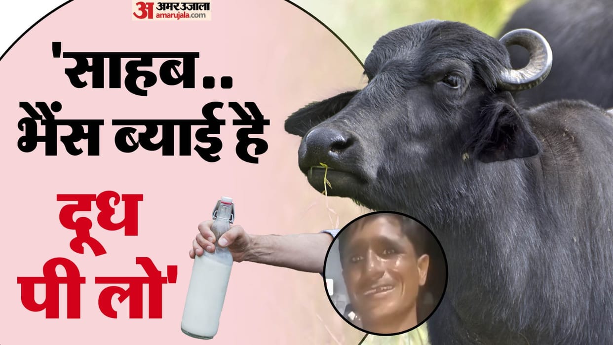 farmer called police team to his house and said my buffalo given birth drink milk