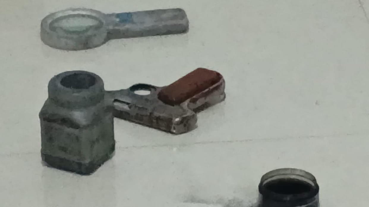 The student shot himself with his father's licensed gun