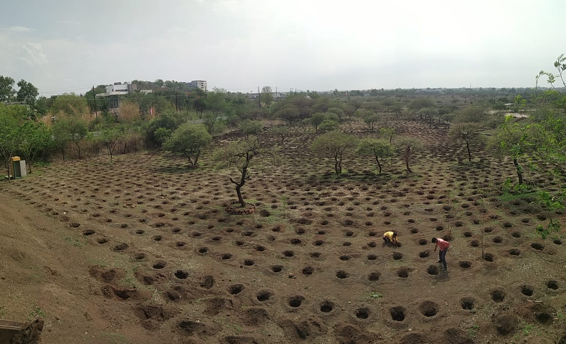 Indore: State government will give Rs 20 crore to plant 51 lakh saplings in the city, 30 lakh potholes have be